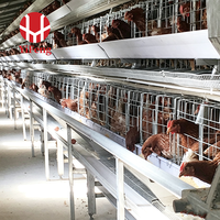 Cage à poulets automatique de type H à 3 niveaux, galvanisée, système de ventilation haute densité, courroie de fumier, poulailler, ferme avicole