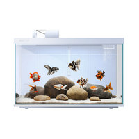 Aquarium en verre rectangulaire HD écologique 30L intelligent pour bureau avec contrôle WIFI, boîte d'alimentation, lumière et filtre