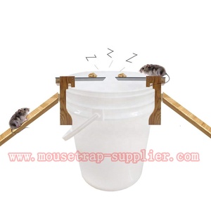Indoor/Outdoor Use Eco-Friendly EPA <strong>Humane</strong> Walk the Plank Auto Reset <strong>Rat</strong> Rodent Killer Mouse <strong>Trap</strong> - Product Image 5