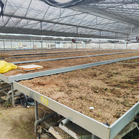 Système de bancs roulants en plastique pour semis par flux et reflux agricoles, équipement de serre pour la plantation