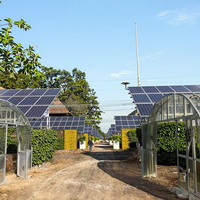 Serres agricoles photovoltaïques chinoises à simple travée en acier galvanisé à chaud avec ventilation et film solaire PE, type tunnel