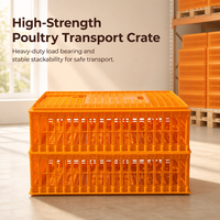 Nouvelle cage de transport en plastique de type A pour volailles (poulets, canards, oies, pigeons) - Facile à utiliser pour l'élevage de poulets