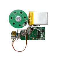 Module sonore MP3 personnalisé en gros pour cartes de vœux, jouets en peluche, puce vocale rechargeable Type-C pour cadeaux promotionnels et projets DIY