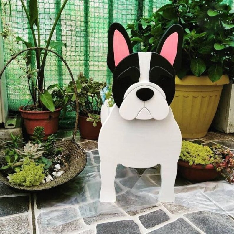C- french bulldog-white