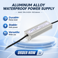 Alimentation électrique en bande mince XLG-75, simple, 6A, 36V, IP67, SMPS, en plastique, étanche à la pluie, pour extérieur