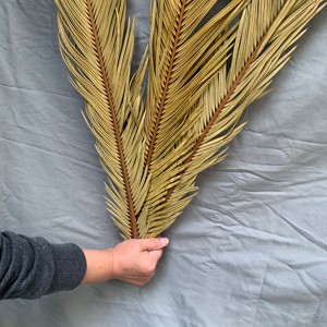 KEWEI T483 Hojas Secas de <span class=keywords><strong>Cycas</strong></span> y Palma Más Vendidas, Planta Natural de 80 cm, Decoración Boho para Bodas, Navidad y Pascua - Product Image 3