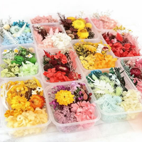 Boîte de matériaux pour fleurs éternelles DIY, décorations artisanales, couleurs mélangées aléatoires, plantes séchées et fleurs séchées