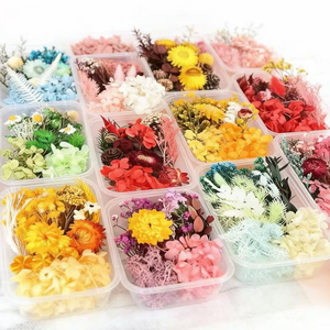 Flores Secas y Preservadas para Manualidades, Caja de Materiales de Flores Eternas de Colores Mixtos Aleatorios, Decoración DIY - Product Image 2