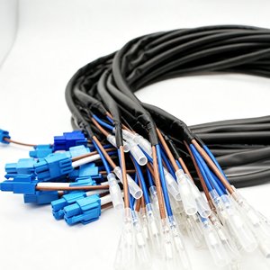 Faisceau de câbles robuste sur mesure avec connecteur en plastique bleu et borne isolée transparente pour appareils électroménagers et équipements - Product Image 4