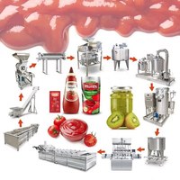 Industriële machine voor het continu, geautomatiseerd en aanpasbaar produceren van fruit-, groente- en tomatenketchup, -pasta en -saus in blik.