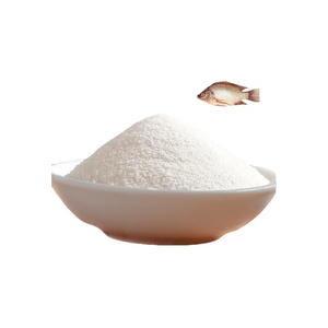 ผงคอลลาเจนจากปลาทะเลไฮโดรไลซ์คุณภาพสูง เหมาะสำหรับการผลิตอาหารเสริมและการพัฒนาผลิตภัณฑ์เพื่อสุขภาพ - Product Image 1