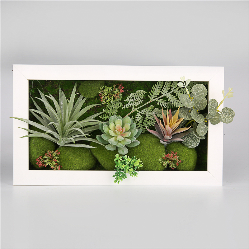 3D Wall Art Plants Decorations Frame - Artificial Succulents