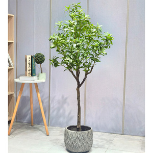 Plante Artificielle en Plastique en Gros, Arbre <span class=keywords><strong>Pieris</strong></span> Vif et Presque Naturel, Durable, Résistant aux UV, Écologique, pour Décoration de Jardin et de Mariage - Product Image 5