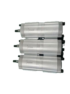 Pièces d'équipement de machines de construction 0510765343 Pompe à engrenages à trois liens - Product Image 2