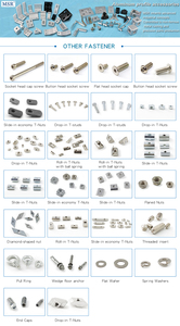 Fabricante Chino <span class=keywords><strong>de</strong></span> Tornillos <span class=keywords><strong>de</strong></span> <span class=keywords><strong>Cabeza</strong></span> Redonda M8, Tornillo <span class=keywords><strong>de</strong></span> Fijación para Ensamblaje en Acero Inoxidable - Product Image 5