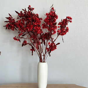 Fleurs séchées les plus vendues du Yunnan, fleurs préservées, fleurs de papillon séchées, freesia, <span class=keywords><strong>iris</strong></span> japonica pour la décoration de la maison et la fête des mères - Product Image 2