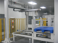 Machine de Palettisation Cartésienne Entièrement Automatique à Servomoteur pour Boîtes en Carton, Prix Usine, Fabricant et Fournisseur