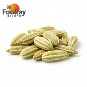 Semillas de Hinojo Enteras Auténticas, Bolsa Resellable de 100g, Especia Premium para Cocina de Oriente Medio, Curry y Repostería, Se Acepta ODM - Product Image 2