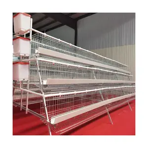 Hot sale automatic poultry cage chicken layer cage in south africa