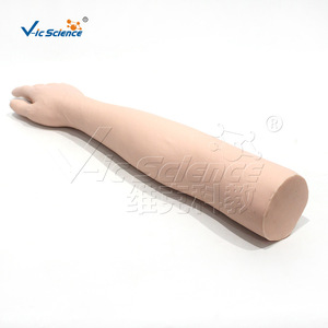 Modèle de bras pour suture chirurgicale avancée VIC439, modèle d'entraînement à la suture pour étudiants en médecine - Product Image 4