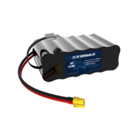 Batterie Li-Ion HYH Modèle 6S 8000mAh 6S2P 22.2V 10C 21700 Cellules pour Drone FPV, Quadricoptère, Hélicoptère - 1000 Cycles - Vente Flash