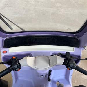 Triciclo de Pasajeros de 1200W de la Serie Romántica Más Vendida - Product Image 4