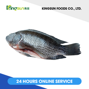 Xuất Khẩu Nhà Máy Sản Xuất Cá Rô Phi Đen Đông Lạnh Chất Lượng Cao - Product Image 6