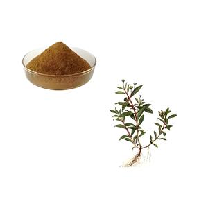 Eclipta Alba Extract India Bulkvoorraad Van Premium Kwaliteit Met Gestandaardiseerde Bioactieve Stoffen Voor Cosmetische Toepassingen En Gezondheidsproduct - Product Image 3