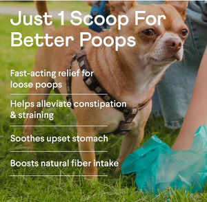 Complément alimentaire en poudre de citrouille OEM pour chiens et chats avec fibres de pomme pour un soulagement digestif rapide des selles molles et de la constipation - Product Image 4