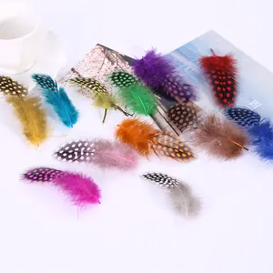 Colorful guinea fowl feathers natural pheasant for gift box filling