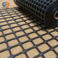 Géogrille biaxiale pour terrain d'essai de véhicules, maille de renforcement en plastique PP haute résistance, haute ténacité, haute résistance à la traction