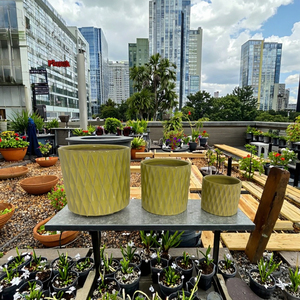 Bán Hàng Nóng Nổi Chậu Hoa Khuôn Trong Nhà Và Ngoài Trời Trang Trí Bê Tông Mọng Nước Trồng Cho Vườn Và Nhà - Product Image 3