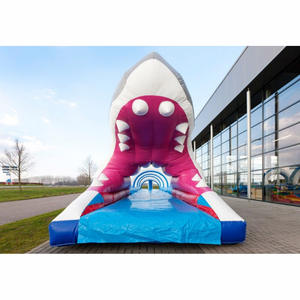 สไลเดอร์น้ำเป่าลมแบบกำหนดเองสำหรับโปรโมทแบรนด์ โรดโชว์ และการตลาดกลางแจ้ง รูปทรงฉลาม - Product Image 4