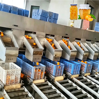 ENAK Complete Volledig Automatische Machine voor het Vullen, Verpakken en Verwerken van Geblikte Sinaasappels en Citrusvruchten