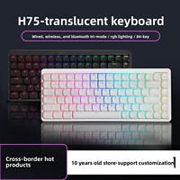 Keyboard Mekanik Profil Rendah 101-Tombol H75 Grosir, Nirkabel untuk PS/2, Mode Ganda Berkabel, Siap Pakai di Kantor, Portabel