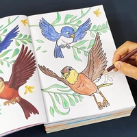 Libros de Actividades y para Colorear de Tapa Blanda con Impresión Personalizada para Niños, Excelente Regalo para Niños y Niñas