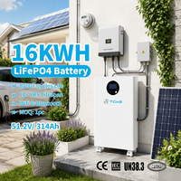 Batterie LiFePO4 51,2V 314Ah 16KWh 17KWh avec protection IP65, BMS intelligent, 8000+ cycles pour système de stockage d'énergie domestique (normes EU/UKCA)