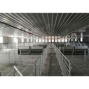 Cage et enclos d'engraissement pour porcs, neufs, durables, personnalisés en usine, avec acier galvanisé à chaud, garantie 1 an, HENGYIN, ensemble complet - Product Image 3