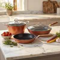 Lot de 5 ustensiles de cuisine en fer antiadhésifs, cuivre orange, comprenant un wok de 30 cm, une marmite de 22 cm, une poêle de 22 cm, avec couvercles en verre, pour la vente en gros