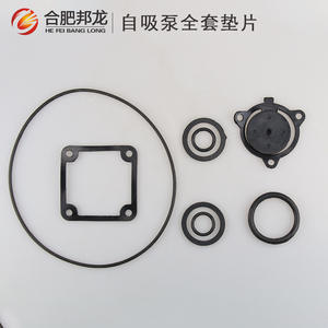 Juego completo de piezas de bomba de agua a gasolina de 2 y 3 pulgadas con anillos de sellado, juntas y válvulas unidireccionales - Product Image 4