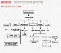 Recuperación de oro de E Waste Gold Stripping Machine Máquina de recuperación de oro E Waste PCB Board Recycling Plant