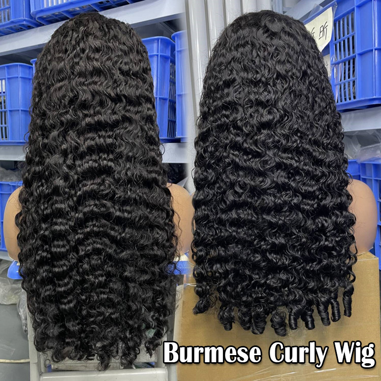 Burmese curly