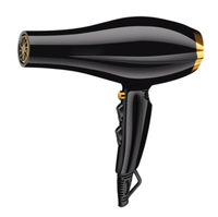 Meilleur sèche-cheveux de voyage portable professionnel 2050 3000 Watt, mini concentrateur compact pour usage domestique et hôtelier