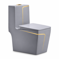 WC monobloc gris minimaliste moderne avec ligne dorée, chasse d'eau siphonique en céramique pour salle de bain contemporaine
