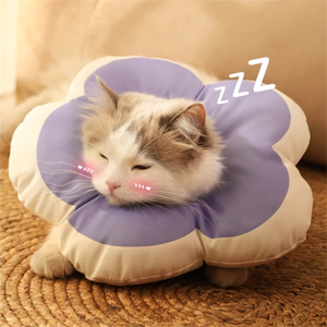 Pet vergogna anello di sterilizzazione forniture a forma di fiore anti leccatura morbido colletto impermeabile gatto Elisabetta - Product Image 3
