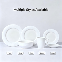 Vaisselle en céramique et porcelaine de haute qualité, écologique, en gros, compatible micro-ondes, lave-vaisselle et four, style minimaliste portable