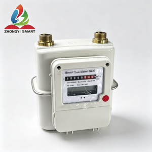 Medidor de Gas Inteligente ZHONGYI con Diafragma/Bolsa de Aire, Carcasa de Acero, G1.6, G2.5, G4, Comunicación LoRaWAN, NB-IoT, GPRS, RS485, Cableada/Sin Cable - Product Image 1