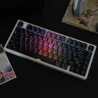 JCM BlackBerry 50 Double-shot Translucent PBT OEM Full Set of Keycaps Korean Russian German French Arabic English Layouts-China