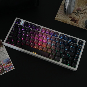 Juego Completo <span class=keywords><strong>de</strong></span> Teclas PBT Translúcidas <span class=keywords><strong>de</strong></span> Doble Capa JCM BlackBerry 50, Distribución OEM en Coreano, Ruso, Alemán, Francés, Árabe e Inglés - China - Product Image 3