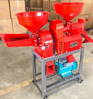 Décortiqueuse de riz électrique 2,2 kW pour la production de riz brun, capacité 300 kg/h, idéale pour les exploitations agricoles et le traitement du riz à petite échelle